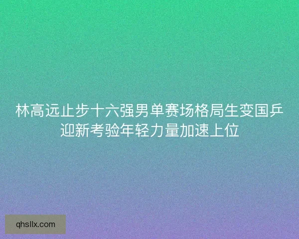 林高远止步十六强男单赛场格局生变国乒迎新考验年轻力量加速上位
