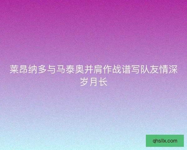 莱昂纳多与马泰奥并肩作战谱写队友情深岁月长